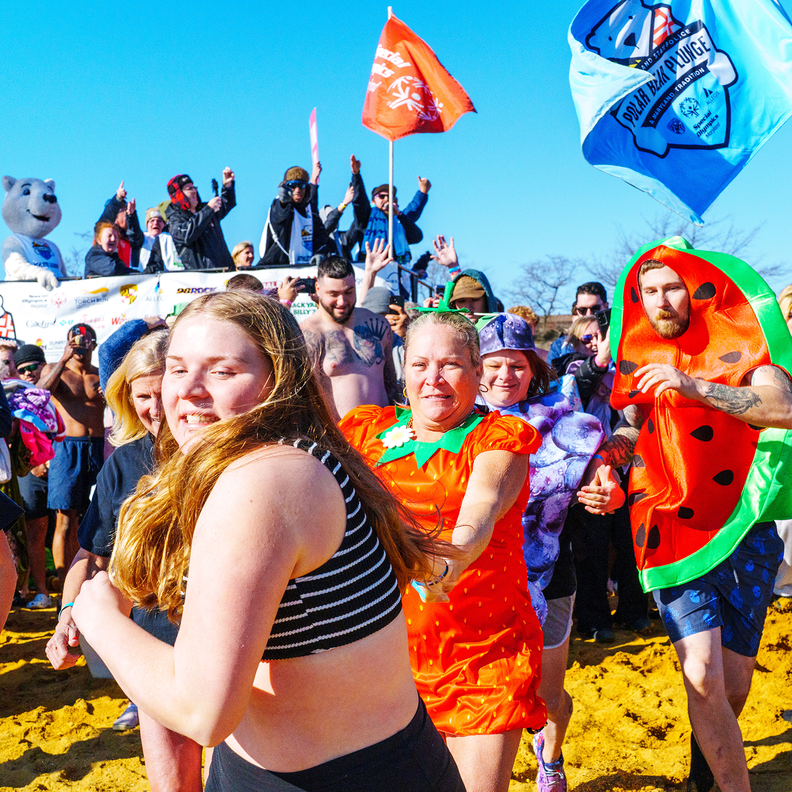 Polar Bear Plunge